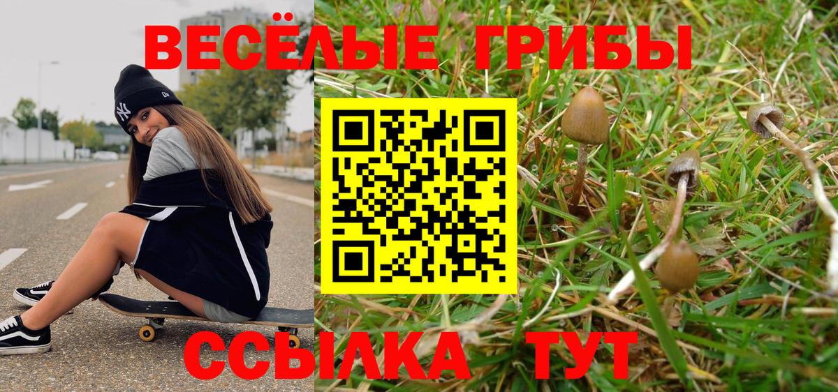 Псилоцибиновые грибы GOLDEN TEACHER Рыбинск