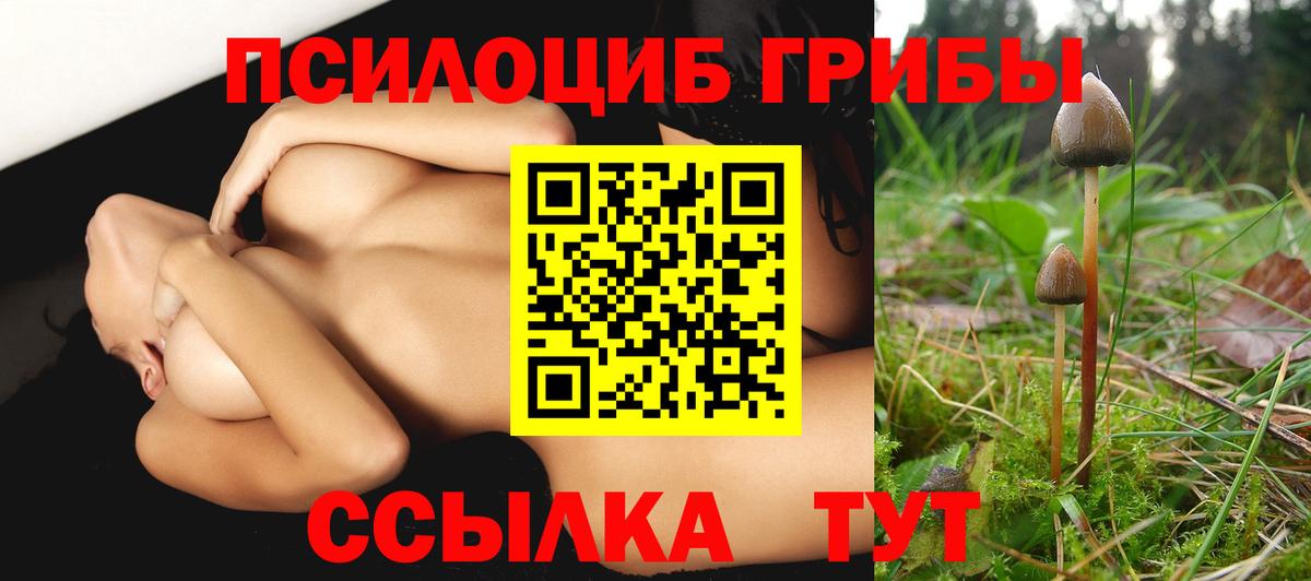 Псилоцибиновые грибы мухоморы  Вход с VPN  Рыбинск  Псилоцибиновые грибы MAGIC MUSHROOMS 